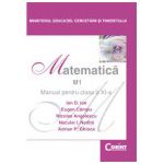 MATEMATICA M1 - Manual pentru clasa a XI-a