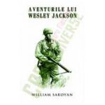 Aventurile lui Wesley Jackson