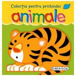 Colectia pentru prichindei. Animale