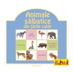 Animale salbatice din tarile calde