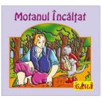 Motanul Incaltat - Pliante cartonate