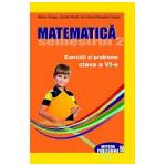 Matematica. Exercitii si probleme. Clasa a VI-a, semestrul II 2012-2013