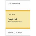 Drept civil. Proprietatea intelectuala