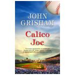 Calico Joe