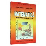 Matematica. Manual pentru clasa a VI-a - Udrea