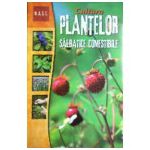 Cultura plantelor salbatice comestibile