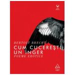 Cum cucerești un înger. Poeme erotice