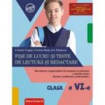 Fişe de lucru şi teste de lectură şi redactare. Clasa a VI-a