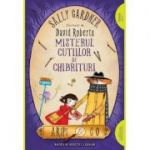 Misterul cutiilor de chibrituri | paperback - Sally Gardner