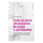 Cum sa devii un Buddha in doar 5 saptamani