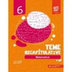 Matematică. Teme recapitulative. Clasa a VI-a