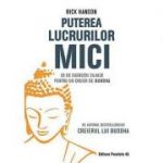 Puterea lucrurilor mici - Rick Hanson