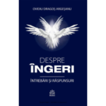 Despre ingeri - Intrebari si raspunsuri - Ovidiu Dragos Argesanu