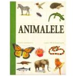 Animalele. Enciclopedie pentru copii