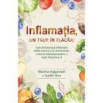 Inflamatia, un trup in flacari - Monica Aggarwal