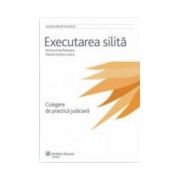 Executarea silita : Culegere de practica judiciara