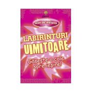 Jocuri de Inteligenta - Labirinturi uimitoare