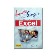 Invata singur Microsoft Excel