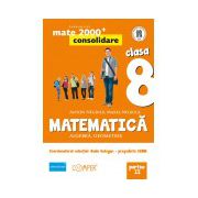 Matematica: algebra, geometrie - Clasa a VIII-a, Partea a II-a. Editia a II-a