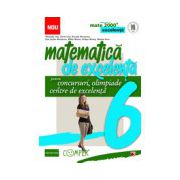 Matematica de excelenta pentru concursuri, olimpiade si centrele de excelenta. Clasa a VI-a