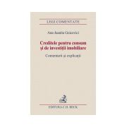 Creditele pentru consum si de investitii imobiliare. Comentarii si explicatii