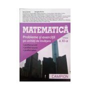 Matematica - Probleme si exercitii pe unitati de invatare, clasa a XI-a