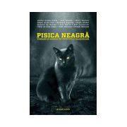 Pisica neagra