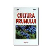 Cultura prunului