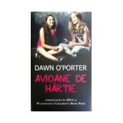 Avioane de hartie