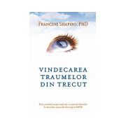 Vindecarea traumelor din trecut