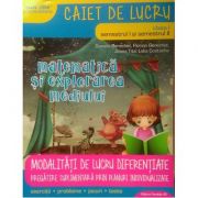 Matematica si explorarea mediului, caiet de lucru, pentru clasa I - MATE 2000 - CONSOLIDARE. Modalitati de lucru diferentiate - Semestrele I si II