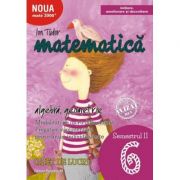 Matematică. Algebră, geometrie. Caiet de lucru. Clasa a VI-a. Semestrul II. Inițiere