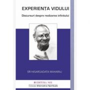 Experiența vidului. Conversații despre realizarea infinitului