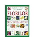 Enciclopedia ilustrata a florilor si florei salbatice