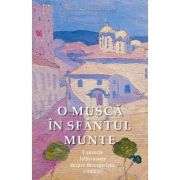 O muscă în Sfântul Munte - Frangopulos, Vasilis G.