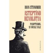 Așteptând revoluția - Ioan Stanomir
