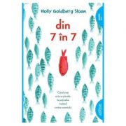 Din 7 in 7 - Holly Goldberg Sloan