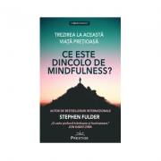 Ce este dincolo de Mindfulness? -  Stephen Fulder