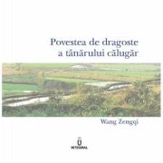 Povestea de dragoste a tanarului calugar - Wang Zengqi