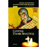 Cuviosul Daniil Sihastrul - Silvan Theodorescu