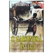 O garsoniera in iad - Ecaterina Oproiu