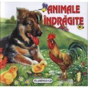 Animale indragite - pliant cartonat