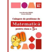 Culegere de probleme. Matematica pentru clasa a V-a (puisorul)