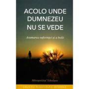 Acolo unde Dumnezeu nu se vede. Asumarea suferinței și a bolii - Nikolaos, mitropolit de Mesogheea si Lavreotiki