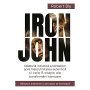 IRON JOHN. Redobandirea masculinitatii si cele 8 etape ale devenirii