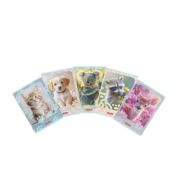 Caiet A5, tip 1, 36 file, hartie 80g/mp, Herlitz