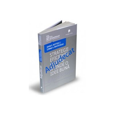 Adjudecat - Strategii eficiente pentru a vinde o idee buna