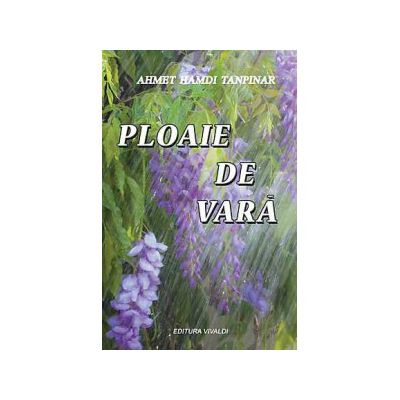 Ploaie de vara