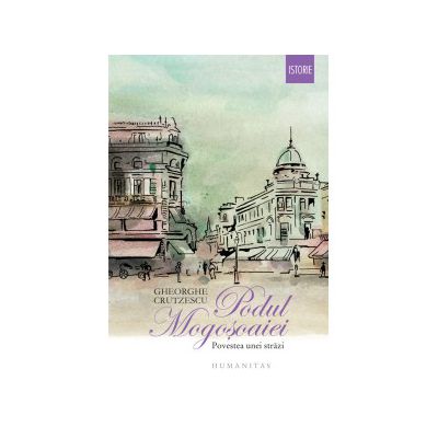 Podul Mogoşoaiei. Povestea unei străzi