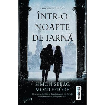 Într-o noapte de iarnă